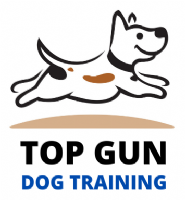 Top Gun Dog Training Photo