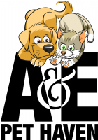A&E Pet Haven Photo