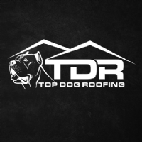 Top Dog Roofing  Photo
